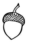 Acorn