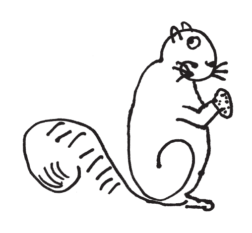 Squirrel On Its Haunches